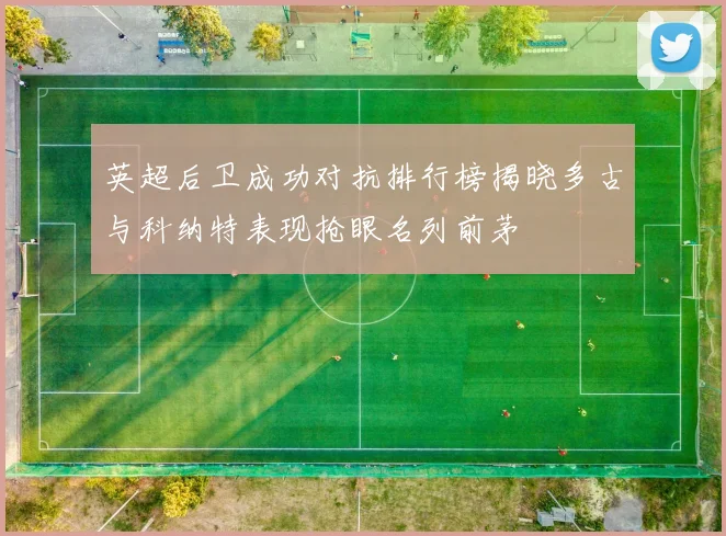 英超后卫成功对抗排行榜揭晓多古与科纳特表现抢眼名列前茅